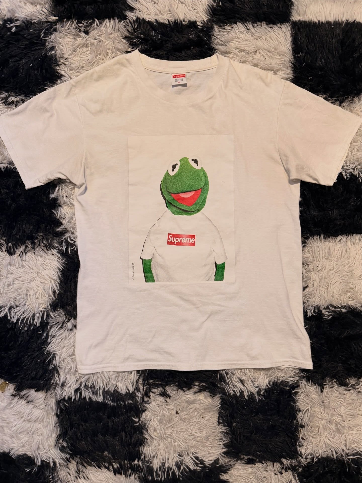 kermit the frog portrait tee